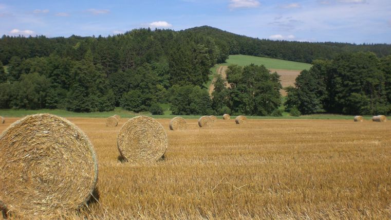 Eine weite Felderlandschaft mit Heuballen im Vordergrund. Im Hintergrund sind sanfte Hügel und Bäume zu sehen.