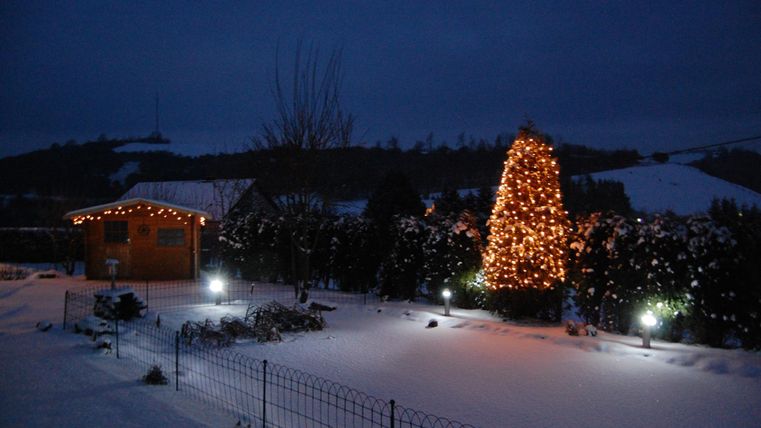 Ein winterlicher Garten bei Nacht mit einem beleuchteten Weihnachtsbaum. Der Boden ist mit Schnee bedeckt, und eine kleine Hütte steht im Hintergrund.