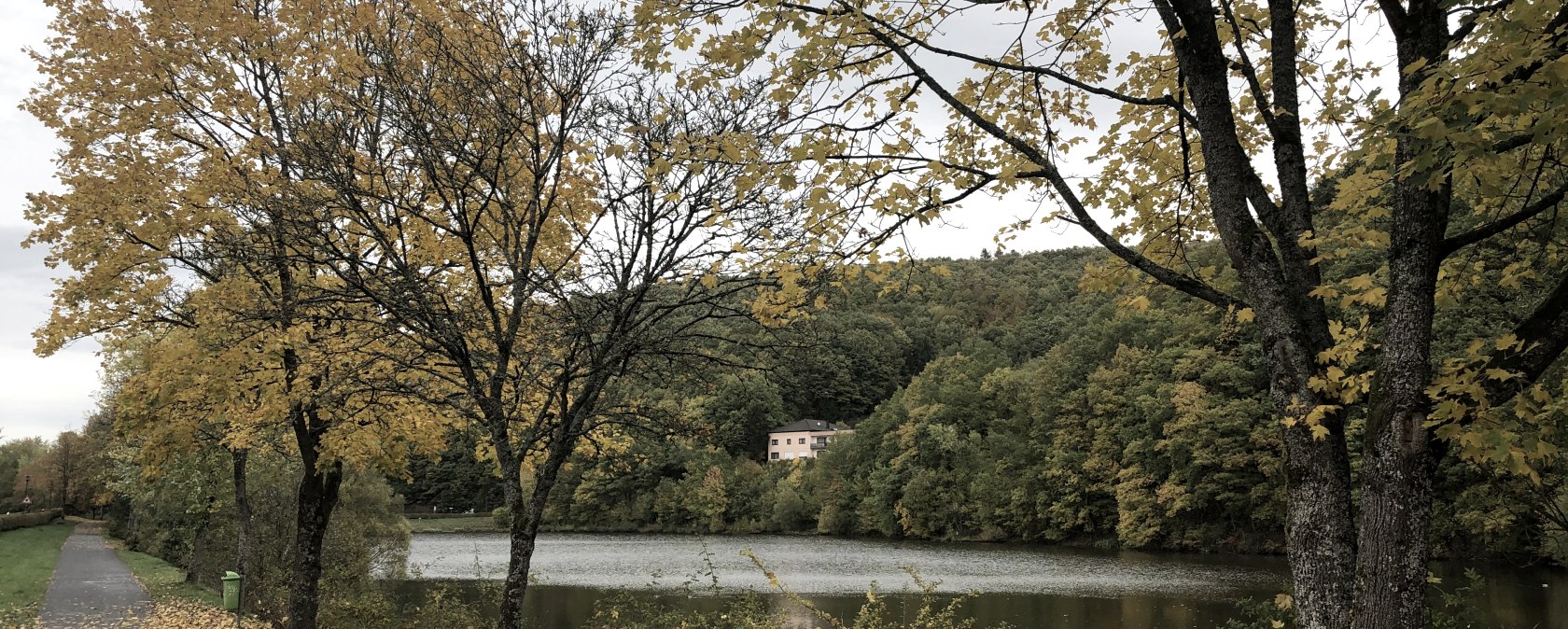 Herbstliche Szene am Wirftstausee in Stadtkyll. Gelbe Blätter bedecken den Weg entlang des Sees, umgeben von Bäumen und bewaldeten Hügeln., © Touristik GmbH Gerolsteiner Land