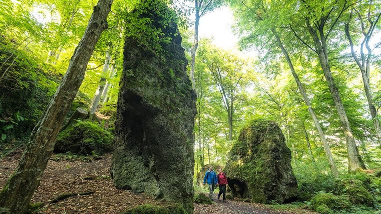 Zwei Wanderer auf dem Weg zu den Eishöhlen im Wald