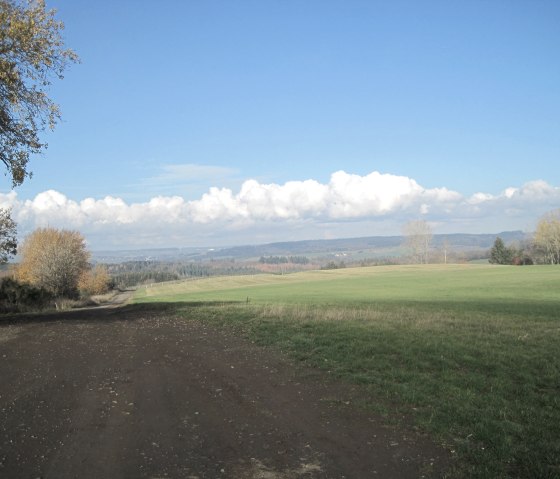 Ein Feldweg führt durch grüne Wiesen, gesäumt von Bäumen. Am Horizont sind Hügel und Wolken unter einem blauen Himmel zu sehen., © Touristik GmbH Gerolsteiner Land