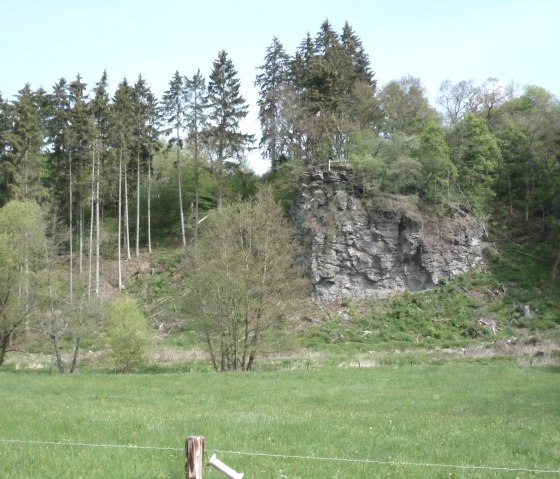 Rock formation at the edge of the forest, surrounded by trees. A green meadow in the foreground, blue sky in the background., © Touristik GmbH Gerolsteiner Land