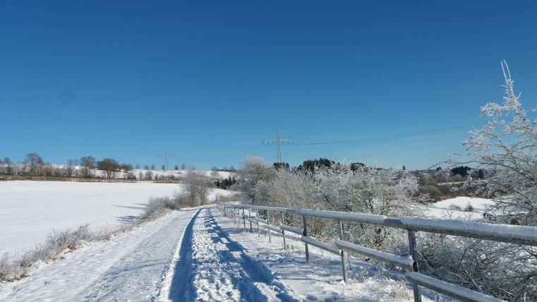 Ein schneebedeckter Weg führt durch eine winterliche Landschaft. Der Himmel ist klar und blau, sodass die kalte Atmosphäre strahlt.