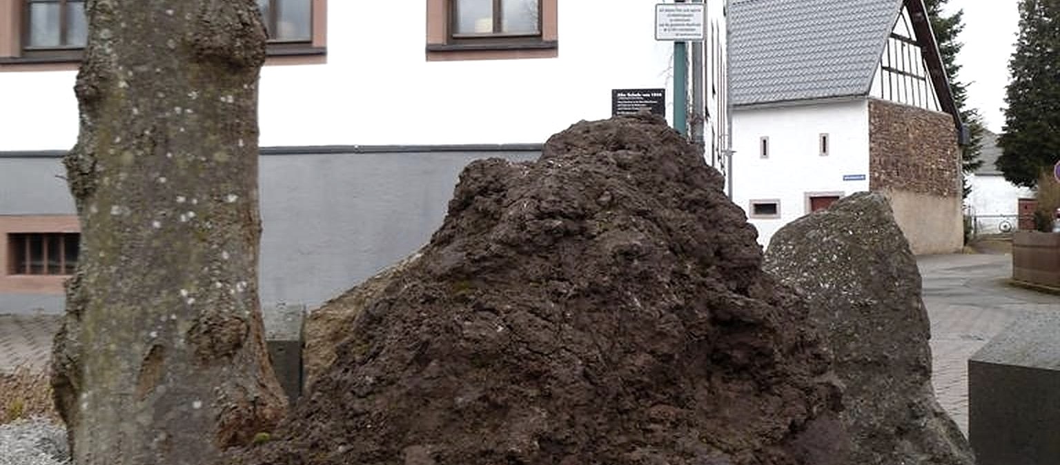 Mausefallenmuseum Neroth (1), &copy; H. Wallenborn