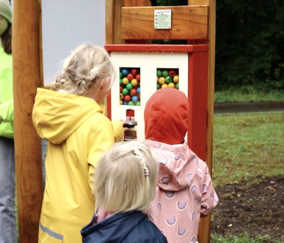 Three children in rain jackets stand close together in front of the marble machine and buy marbles for the forest marble run.