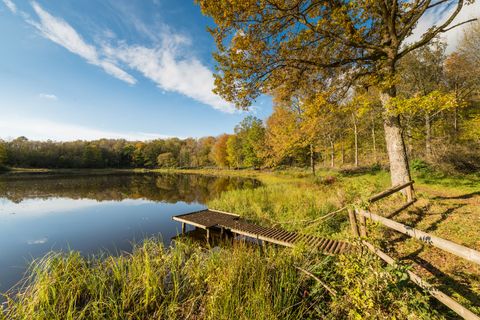 Windsborn-Kratersee mit einem Steg, umgeben von Herbstwald.