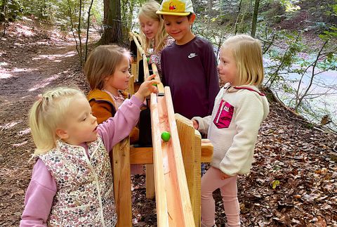 Mehrere Jungs und Mädchen stehen um die Holzkugelbahn im Gerolsteiner Stadtwald und lassen Kugeln darüber rollen.