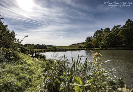 Het idyllische stuwmeer in Gerolstein omgeven door groene natuur., &copy; Martin M&uuml;ller