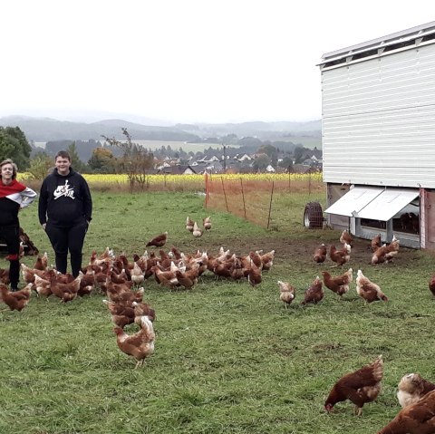 Meyerhof Au&szlig;engehege (1), &copy; Herr Meyer