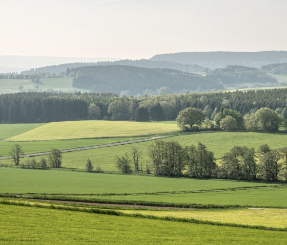 Groene velden en bossen strekken zich uit over glooiende heuvels in de Eifel. De lucht is licht bewolkt, het landschap is vredig en weids., &copy; Eifel Tourismus GmbH, Dominik Ketz