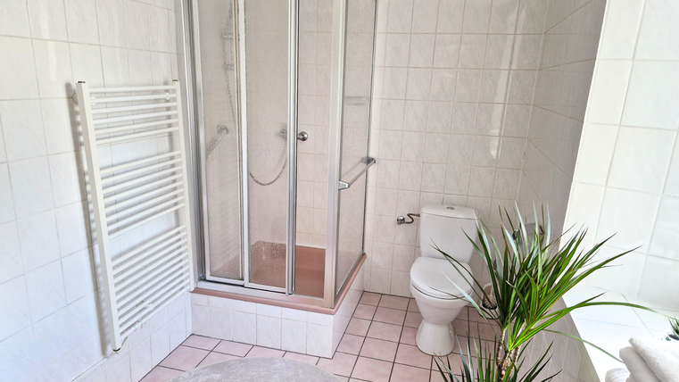 Une salle de bain moderne avec une douche et des toilettes. Une plante et des serviettes créent une ambiance chaleureuse.