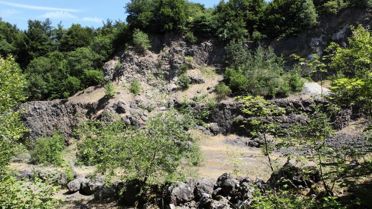 Steinbruchwände und Bäume im Innenbereich des Steinbruchs