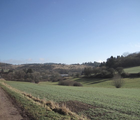 Groene velden en heuvels onder een strakblauwe hemel. Een pad loopt door het landschap, omringd door bomen en struiken., &copy; Touristik GmbH Gerolsteiner Land, Ute Klinkhammer