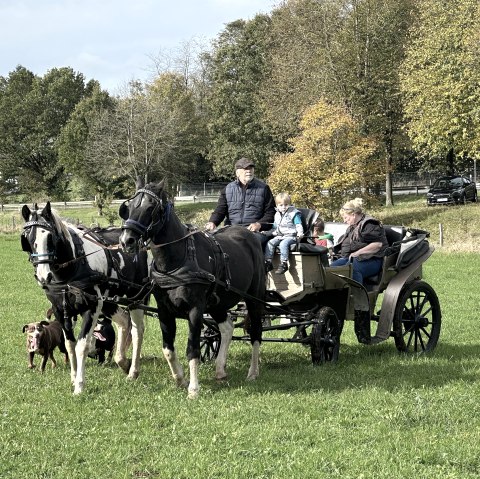 Kutschfahrten, &copy; Heinz Schend