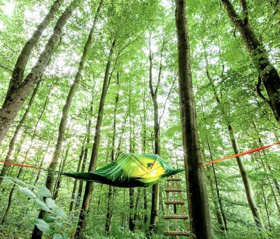 Eifel Adventures Zelt (3), &copy; EifelAdventures, Elmar Saxler