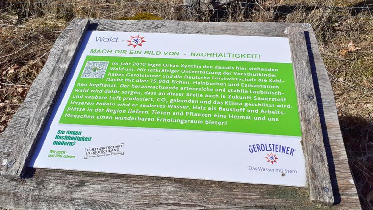Panneau d'information sur un projet de développement durable de Gerolsteiner dans une zone forestière.