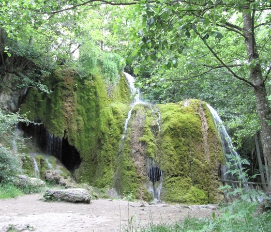 in der Umgebung, &copy; Gertrud Wieser