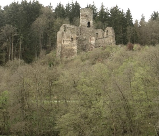 Burgruine Neublankenheim, &copy; Willibert Daniels