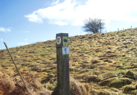 A wooden pillar with hiking trail signs stands on a grassy hill under a blue sky. A tree is visible in the background., © Touristik GmbH Gerolsteiner Land, Ute Klinkhammer