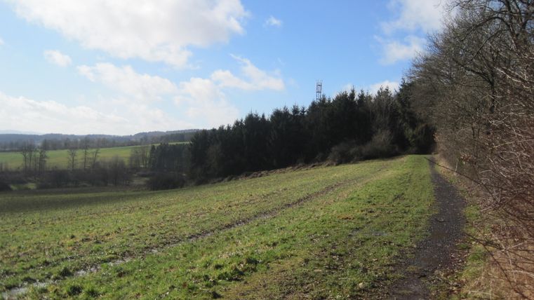 Landschaft mit Wiese, Wald und einem Weg unter blauem Himmel.