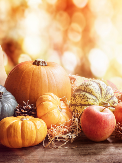 Plusieurs citrouilles colorées de différentes formes et tailles sont posées ensemble sur une table.
