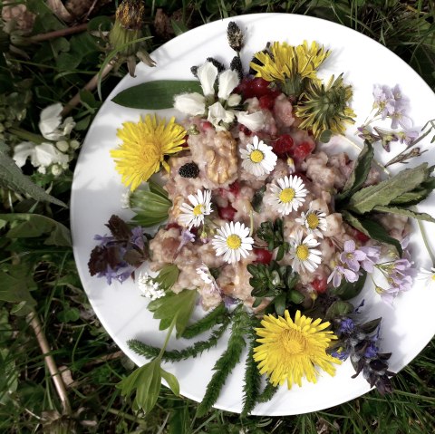 Wildkräuter Gericht, © Andrea Häfele