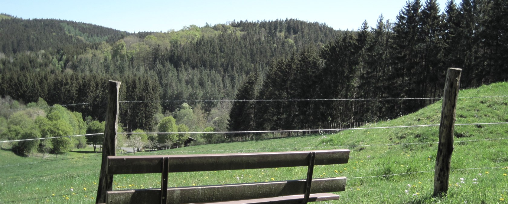 Holzbank auf grüner Wiese vor bewaldetem Hügel, blauer Himmel im Hintergrund., © Touristik GmbH Gerolsteiner Land