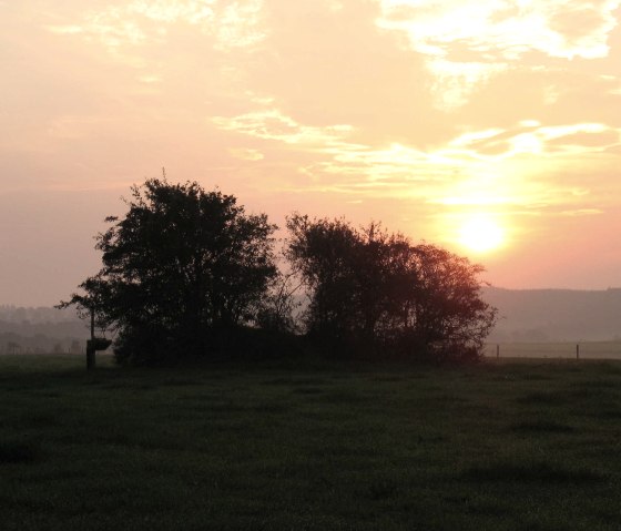 Een zonsondergang achter een groep bomen in een weiland, de lucht gekleurd in warme oranje en gele tinten., © Touristik GmbH Gerolsteiner Land, Ute Klinkhammer
