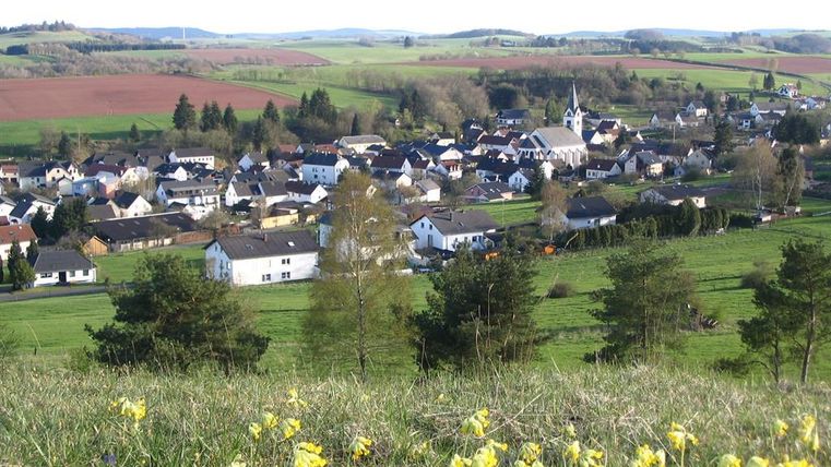 Eine malerische Ansicht eines kleinen Dorfes umgeben von grünen Feldern. Im Vordergrund blühen gelbe Blumen.