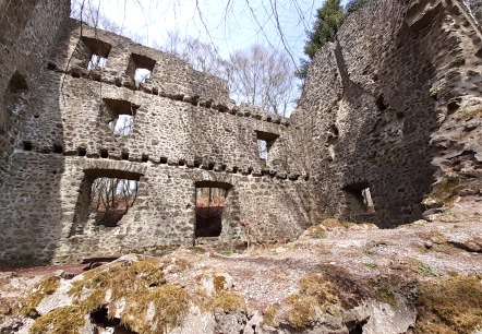 Burgruine Freudenkoppe, © Touristik GmbH Gerolsteiner Land, Ute Klinkhammer