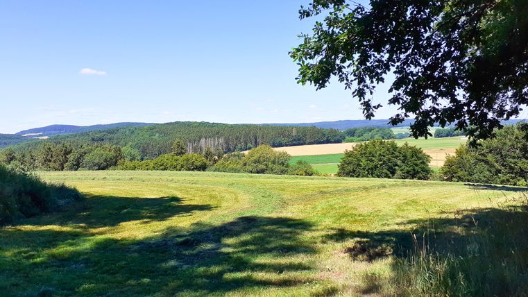 Paysage de prairies, d'arbres et de collines sous un ciel bleu.