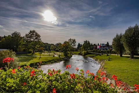 Eine grüne und blühende Parkanlage mit Fluss und tief stehender Sonne