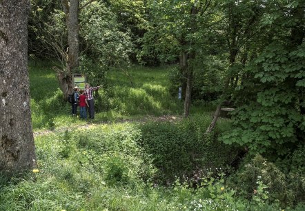Quelle am Laubachshof, &copy; Bitte die Fotos nur nach R&uuml;cksprache mit uns in den sozialen Medien ver&ouml;ffentlichen, wie m&ouml;chten diese exklusiv halten. Eine Ver&ouml;ffentlichung auf eurer Homepage oder in Prospekten ist kein Problem.