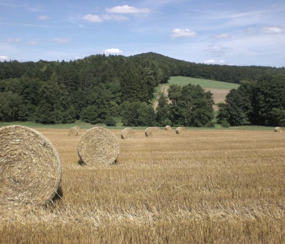 Landurlaub in der Eifel