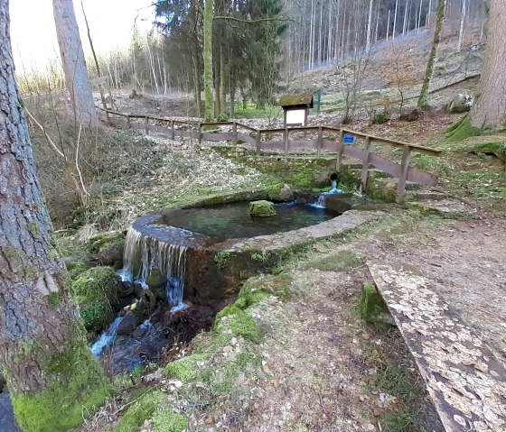 Een bos met een bron waaruit water in een bassin stroomt. Omringd door bomen en een houten reling., © Touristik GmbH Gerolsteiner Land, Ute Klinkhammer