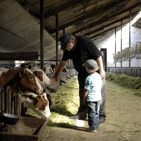Eichenhof, &copy; Eichenhof