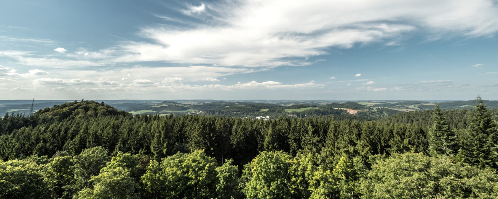 Extensive forest landscape with a view far to the horizon under a blue sky with a few clouds.