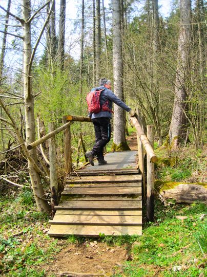 Een persoon met een rode rugzak steekt een houten bruggetje over in het bos.