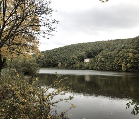 Herbstliche Landschaft am Wirftstausee in Stadtkyll. B&auml;ume mit gelbem Laub, ruhiges Wasser und bewaldete H&uuml;gel im Hintergrund., &copy; Touristik GmbH Gerolsteiner Land