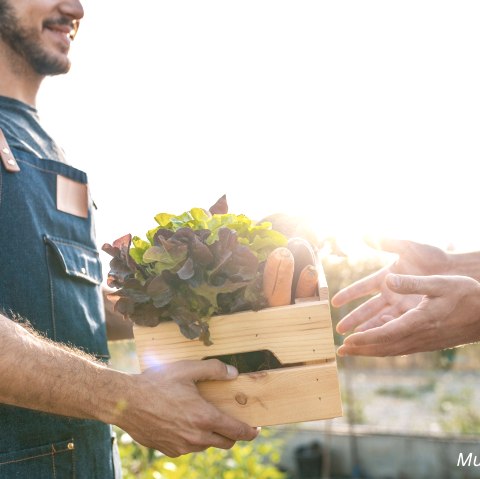 Musterbild, © Canva, Touristik GmbH Gerolsteiner Land