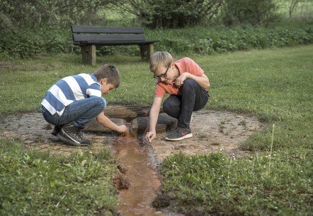 Gees, © Natur- und Geopark Vulkaneifel