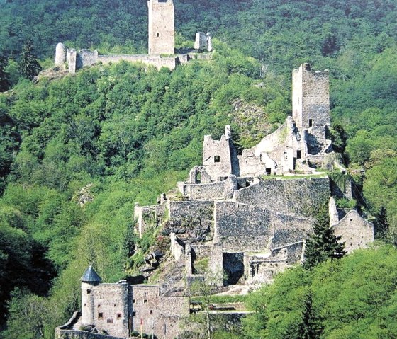 Burgen Manderscheid, &copy; Gertrud Wieser