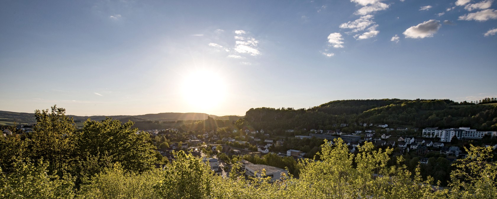 Blick &uuml;ber Str&auml;ucher und B&auml;ume hinweg &uuml;ber die Stadt Gerolstein mit zahlreichen Geb&auml;uden bei Sonnenaufgang.