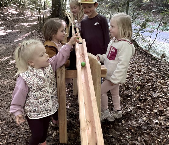 Fünf Kinder spielen im Wald an der Waldkugelbahn. Sie scheinen Spaß zu haben und sind von Bäumen umgeben., © Touristik GmbH Gerolsteiner Land
