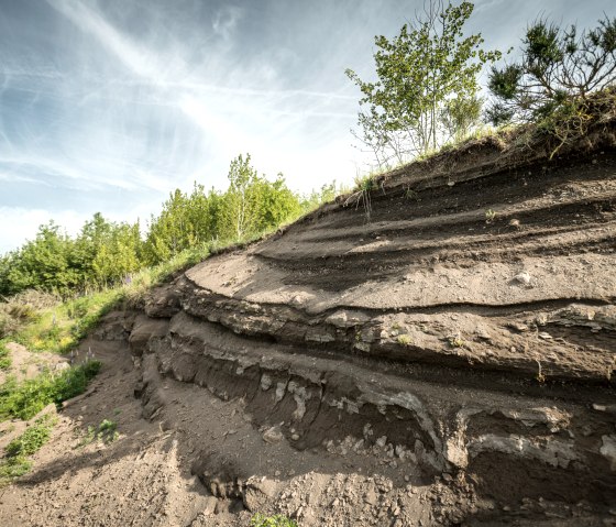 Layers of earth and rock on a slope, surrounded by green trees and a blue sky., © Eifel Tourismus GmbH, Dominik Ketz
