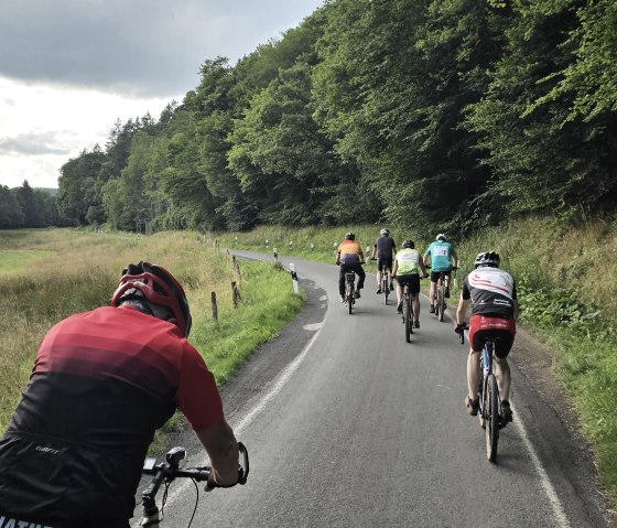 Cyclists ride along a narrow road through the green landscape of the Eifel. Meadows and forests can be seen to the left and right., © Touristik GmbH Gerolsteiner Land, Leonie Post