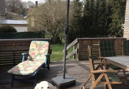 Terrasse mit Hund, © Burkhard Bujotzek