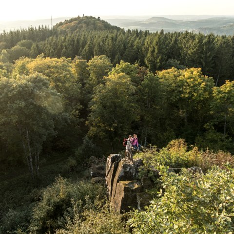 Uitzicht vanaf de Dietzenley, © Eifel Tourismus GmbH, Dominik Ketz