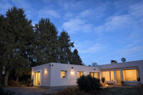 Une maison moderne entourée de grands arbres à la lumière du crépuscule. Les fenêtres sont bien éclairées et créent une atmosphère accueillante.