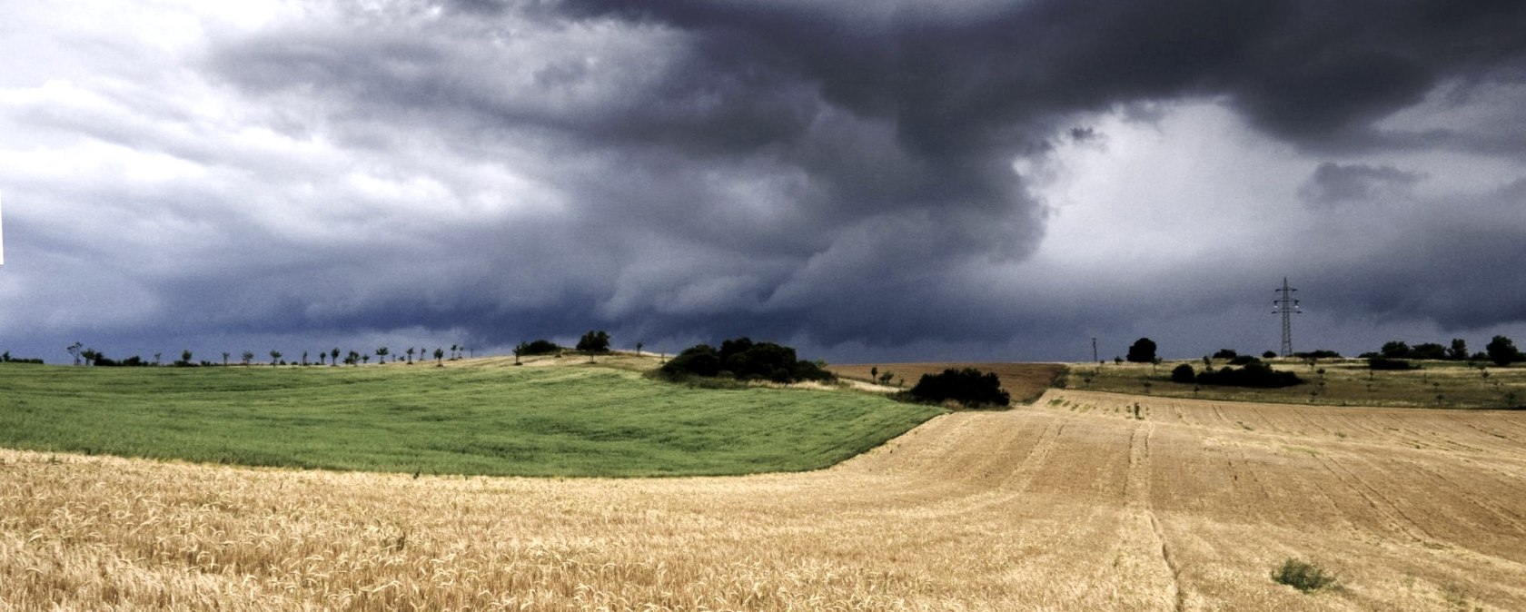 crimi-path-cloud-duester-author-molter, © Molter